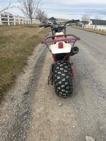 1988-yamaha-big-wheel-big-2